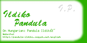 ildiko pandula business card